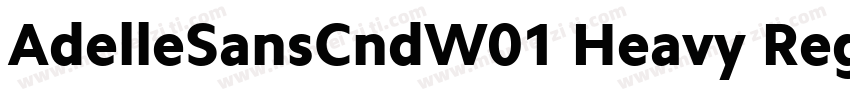 AdelleSansCndW01 Heavy Regular字体转换